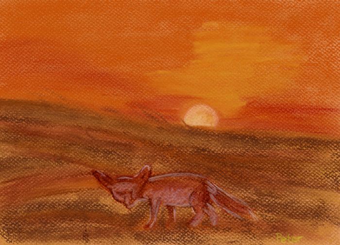 Sunset in the Desert by Glandarius